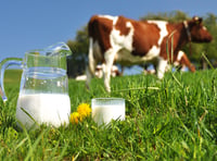 FUW column: Raising a glass to World Milk Day