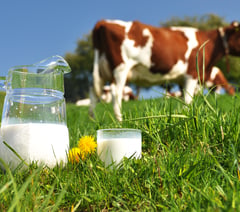 FUW column: Raising a glass to World Milk Day