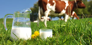 FUW column: Raising a glass to World Milk Day