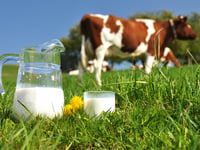 FUW column: Raising a glass to World Milk Day