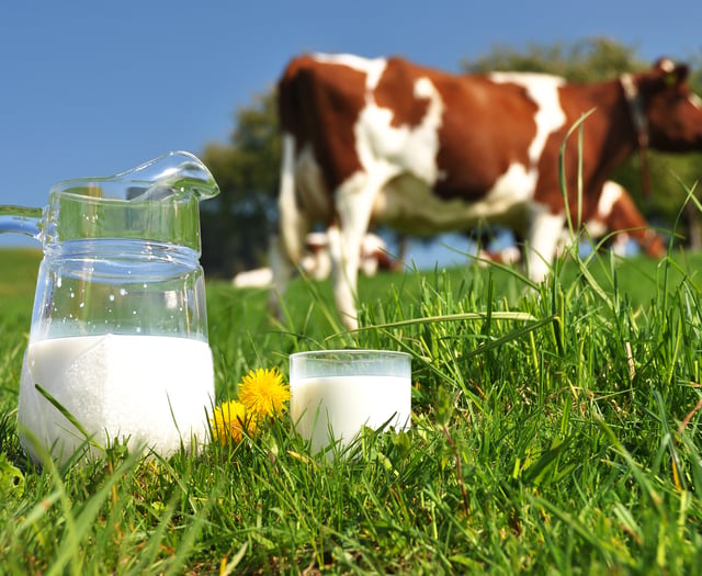 FUW column: Raising a glass to World Milk Day