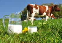 FUW column: Raising a glass to World Milk Day