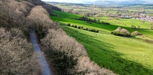 Park Wood, Talgarth, becomes part of National Forest for Wales