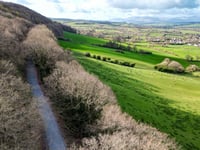 Park Wood, Talgarth, becomes part of National Forest for Wales