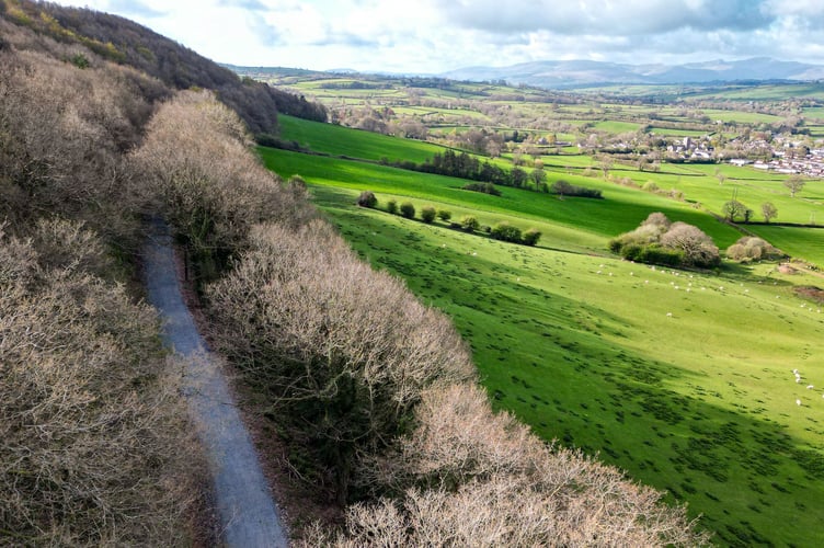 Park Wood Talgarth