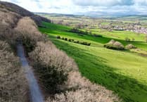 Park Wood, Talgarth, becomes part of National Forest for Wales following improvements