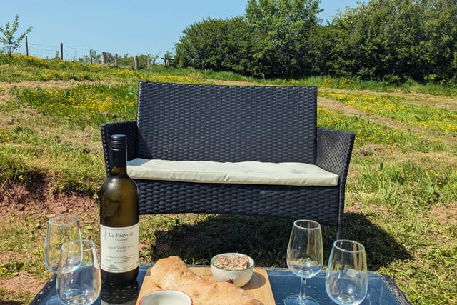 Trallong vineyard opens for tours and tastings