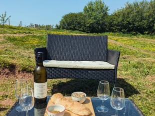 Trallong vineyard opens for tours and tastings