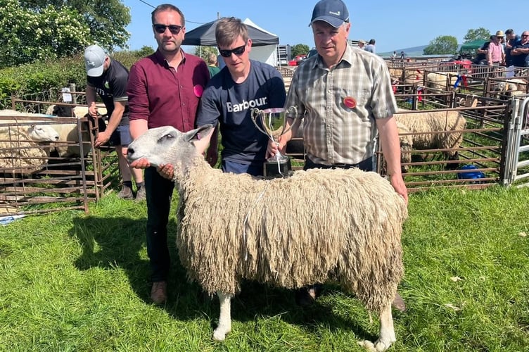 The sheep section saw 59 entries