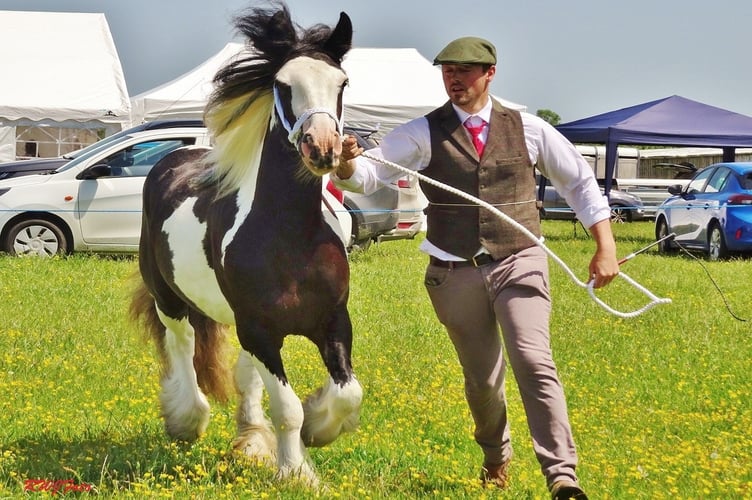 Equine classes were cleared to go ahead with extra precautions in place due to an Equine Influenza alert