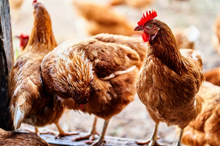Bird keepers are being urged to remain vigilant despite the lifting of the all-Wales Avian Influenza Prevention Zone