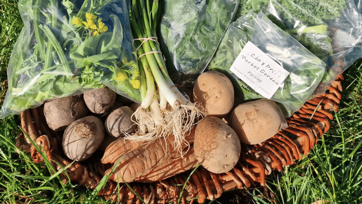 Pilot project distributes over 900 local veg boxes in Powys