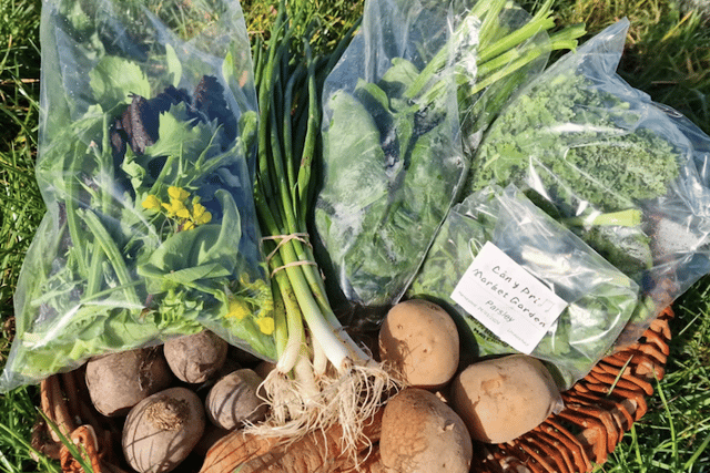 Pilot project distributes over 900 local veg boxes in Powys