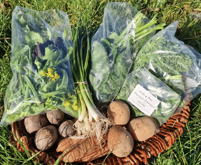 Pilot project distributes over 900 local veg boxes in Powys