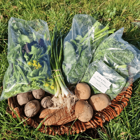 Bwyd Powys veg boxes