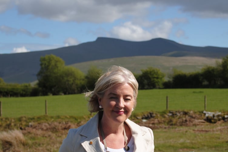Kate Heneghan, Plaid Cymru candidate for Yscir with Honddu Isaf and Llanddew