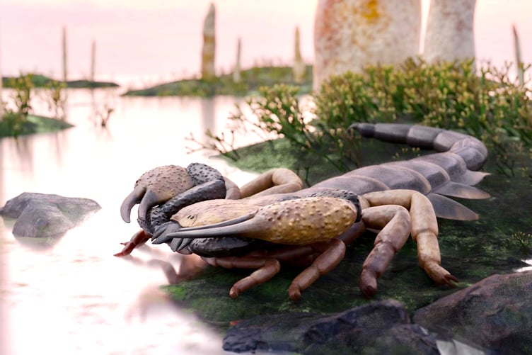 Giant scorpions roamed this area 415 million years ago, scientists have discovered