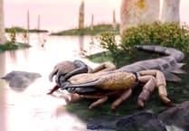 Talgarth fossils reveal biggest scorpion ever known