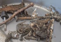 Residents warned after scrap metal leaves bin lorries 'out of action'