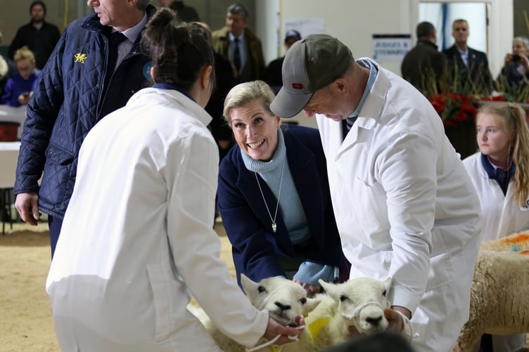 The Duchess of Edinburgh during a visit to the Royal Welsh Winter Fair in 2018
