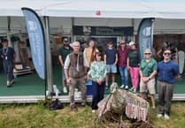 Nearly £1m to boost curlew conservation in Bannau Brycheiniog