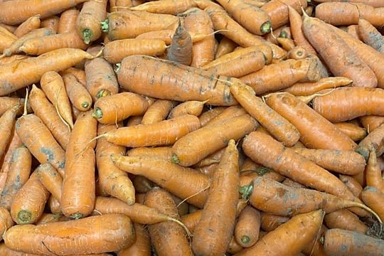 Bwyd Powys Food