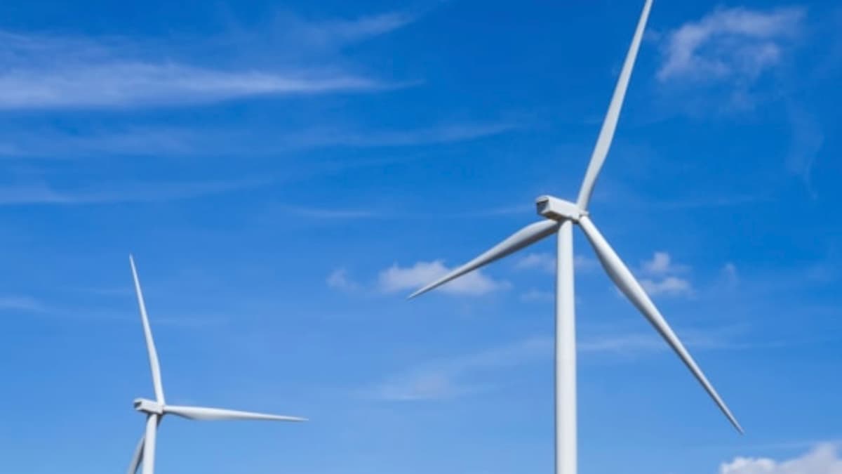Powys councillors call for pause on major windfarm developments