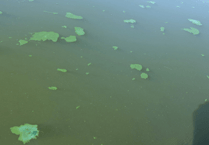 Llangorse Lake restrictions lifted after blue-green algae scare