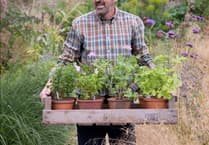 Adam Frost among gardening stars at Royal Welsh Show