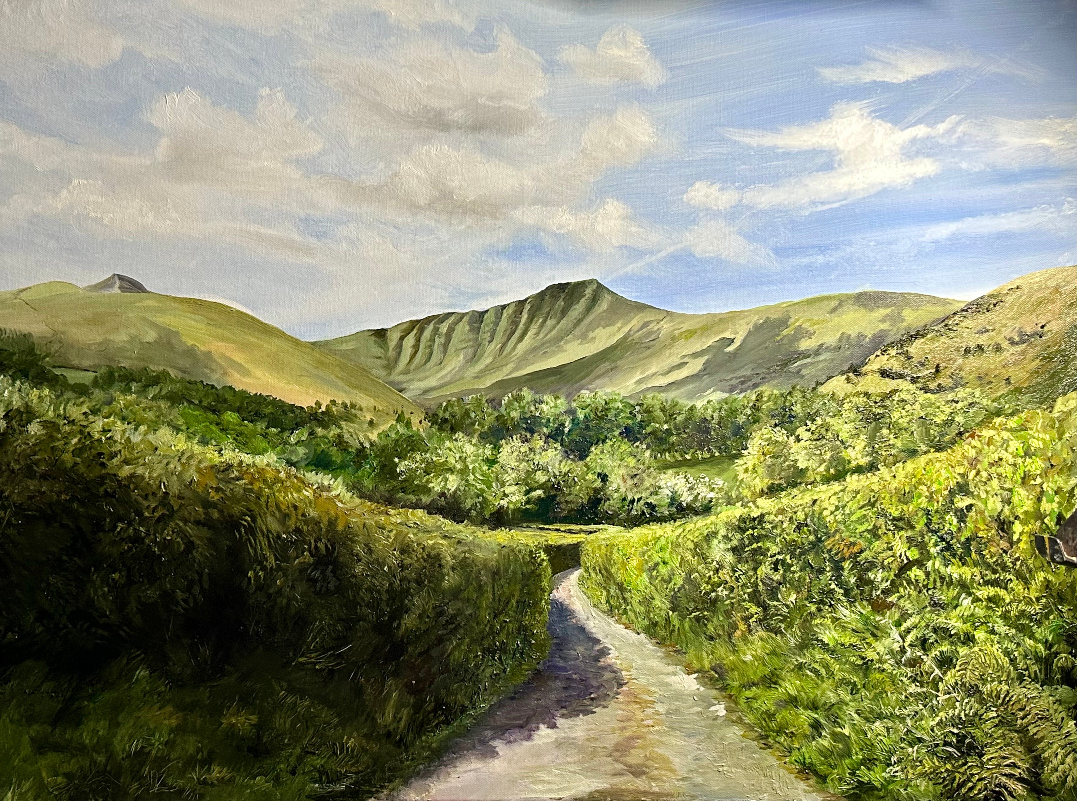 Pen y Fan in Summer from Cantref