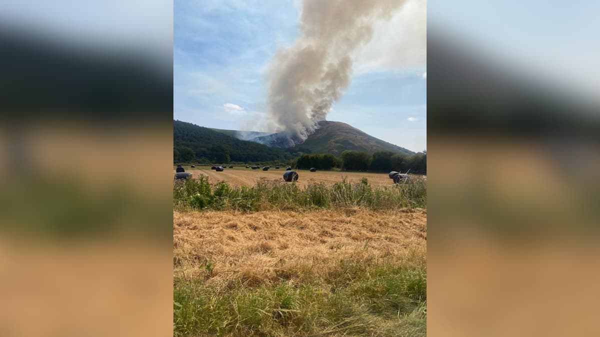 Fire crew tackle wildfire