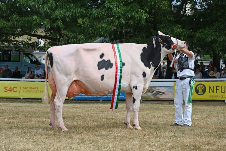 Corringham Lambda S Gremlin, a Holstein cow owned by A Salter-Chalker and D W & C E Jones, was named Supreme Dairy Champion