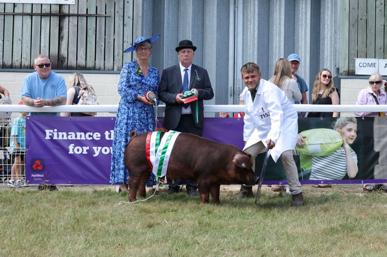 A Duroc bred by Morgan Halliday and exhibited by Pigs Dyfodol Pedigree was named Supreme Pig Champion