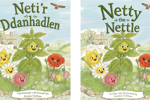 Netty the Nettle and Neti'r Ddanhadlen have been created by Georgia Wickham