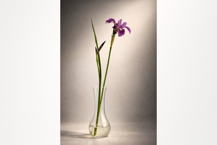 Hay Camera Club member Tony Bennett’s photograph Elegy in Violet is one of more than 60 images being exhibited at the Canwood Gallery