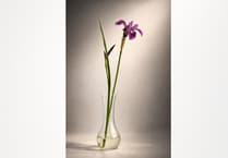 Hay photographers in gallery spotlight