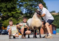 Eckley family strike Gold at Royal Welsh Show as Court-Llacca Flock wins last nine