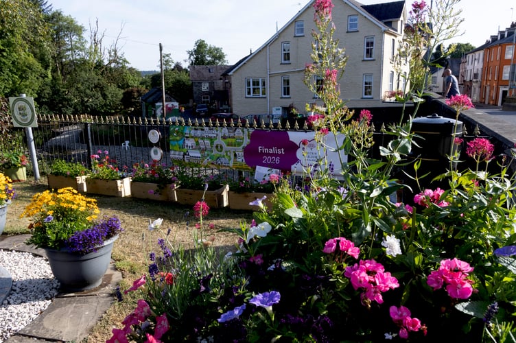 Months of preparation were on show in Llanwrtyd's entry
