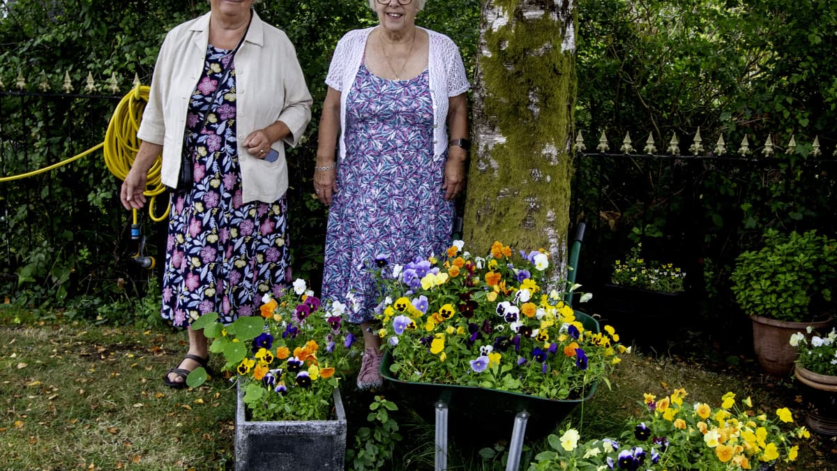 Llanwrtyd Wells awaits Britain in Bloom result after judges' visit