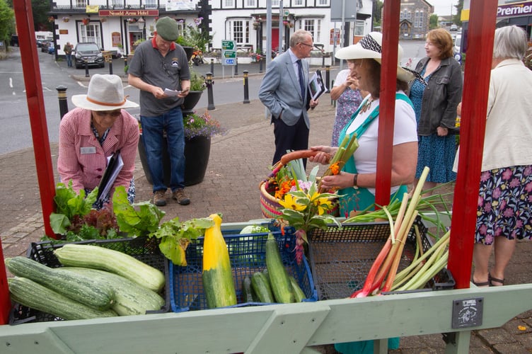 RHS judges tour Llanwrtyd Wells to see the town’s Britain in Bloom entry