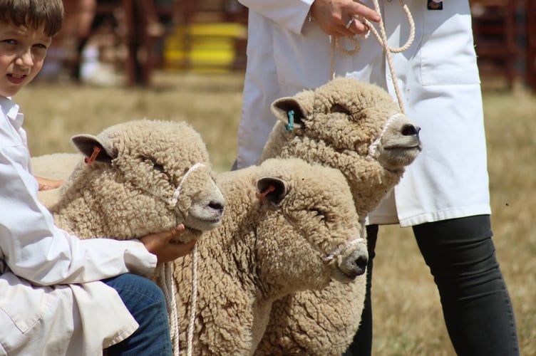A perfect trio lined up for the camera at the show
