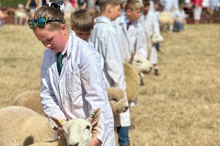 The show ring provided plenty of excitement as exhibitors showcased the best of their livestock