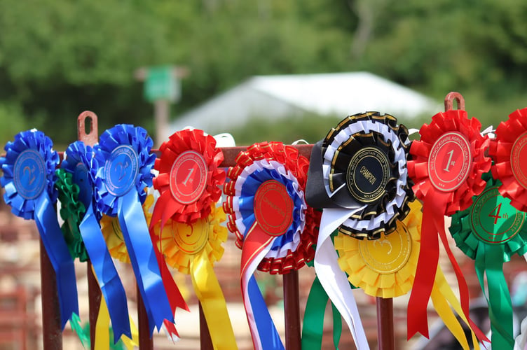 The coveted rosettes ready to reward the day’s winning entries