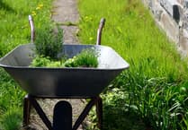 Village prepares for community garden build day