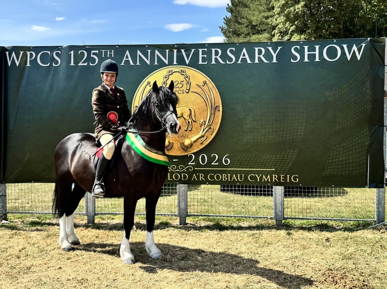 The Welsh Pony and Cob Society has celebrated its 125th anniversary at the Royal Welsh Showground