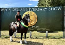 Royal Welsh celebrates 125 years of Welsh breeds