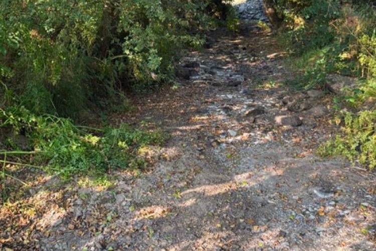 Dry conditions have left farmland across Wales parched