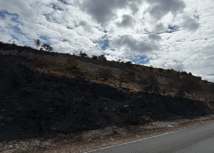 The landscape on Llangynidr Mountain following the devastating wildfire