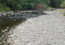 Powys rivers hit lowest levels on record amid drought
