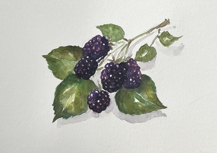 An artist exhibition is coming soon, spotlighting the talent of Radnorshire artists.